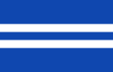 パルディスキの市旗