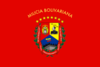 Flag of the Venezuelan National Militia.png