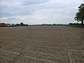 ランゲマルクポールカペル：ランゲマルクドイツ戦争墓地のすぐ西、ほぼ北向き、1915年4月22日に最初のガス攻撃が開始されたドイツ塹壕の場所に向かって撮影した写真。この地域ではドイツの塹壕システムが左側の農家から右側の柳の木の群れまでほぼ走っていた。