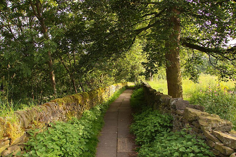 File:Footpath from Haworth - geograph.org.uk - 2634404.jpg