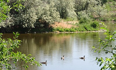 Fountation Creek Nature Center 17.JPG