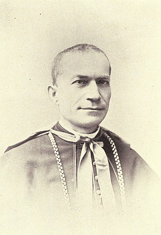 <span class="mw-page-title-main">Francesco Satolli</span> Italian Catholic cardinal