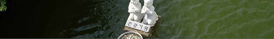 Gangneung page banner