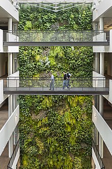 Giardino Verticale Milano Bologna – Realizzare parete verde