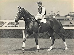 Gold Rod 1936 VRC Sires Produce Stakes Flemington Racecourse Jockey Jack Pratt Trainer George Price.jpg