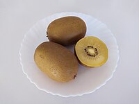 黃金奇異果（英语：Yellow kiwi） Golden kiwifruit