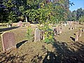 Grünstadt Jewish cemetery 6.jpg