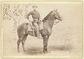 The Cavalier. The young soldier and his horse on duty [a]t camp Cheyenne (1890, LC-DIG-ppmsc-02550)