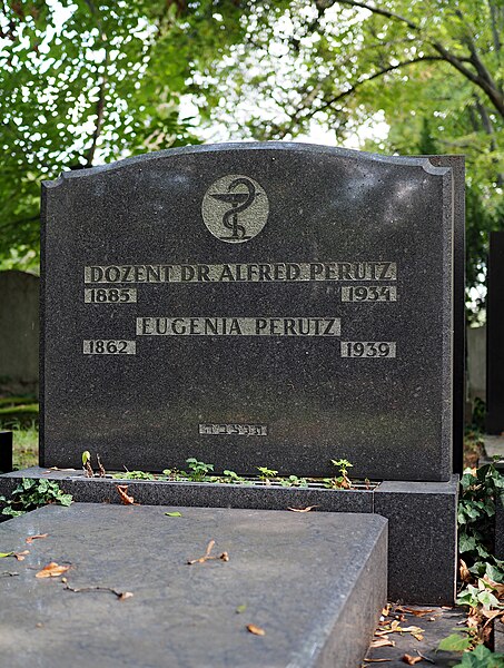 File:Grave of Alfred Perutz, Vienna, 2018.jpg