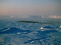 The Zadade colony of emperor penguins in Glacia