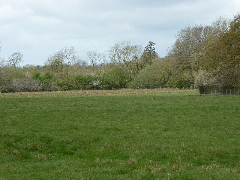 File:Hardwick Lodge Meadow 4.jpg