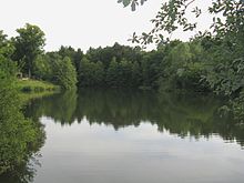 Der Hasselbachstausee, 2008