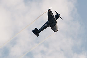 English: Hawker Sea Fury FB 10 (reg. F-AZXJ (115), cn 37733, built in 1944). Engine: Wright Centaurus XVIII. The aircraft was built for Iraqi AF as 316 (1958), destroyed in 2001 as reg. N56SF, rebuilt in the livery of RAN WH589 (cn 41H/636336, FB11). Deutsch: Hawker Sea Fury FB 10 (Reg. F-AZXJ (115), cn 37733, Baujahr 1944). Motor: Wright Centaurus XVIII. Das Flugzeug wurde urpsrünglich für die irakische Luftwaffe als 316 (1958) gebaut, 2001 mit der Reg. N56SF zerstört und nun mit der Bemalung der RAN WH589 (cn 41H/636336, FB11) wiederaufgebaut.