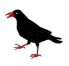 Heraldic Cornish chough.png