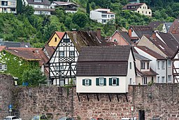 An der Stadtmauer in Hirschhorn (Neckar)