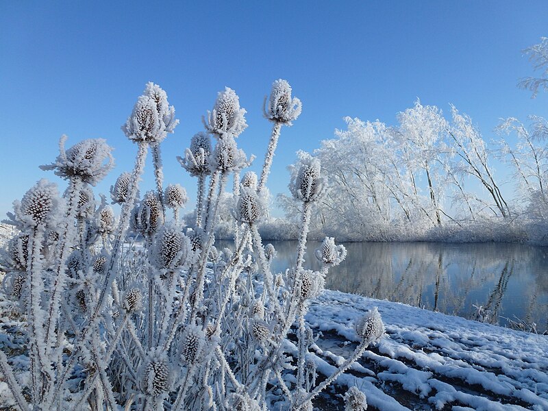 File:Hoar frost and The River Delph - The Ouse Washes near Welney - geograph.org.uk - 3301031.jpg