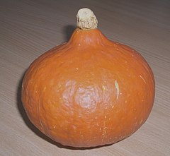 Hokkaido buča (Cucurbita maxima)