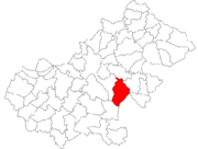 Localizarea în județul Satu Mare