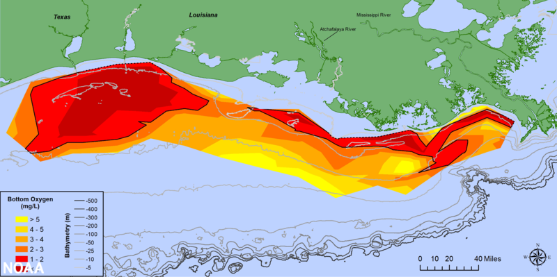 File:IMAGE-Map of measured Gulf hypoxia zone, July 25-31, 2021-LUMCON-NOAA.png