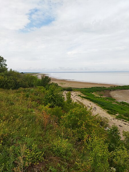 File:Ilmen lake coast.jpg