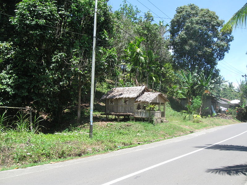 File:Indonesia (New Guinea Island)(44).jpg