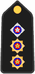 Insignia PM O2.PNG 