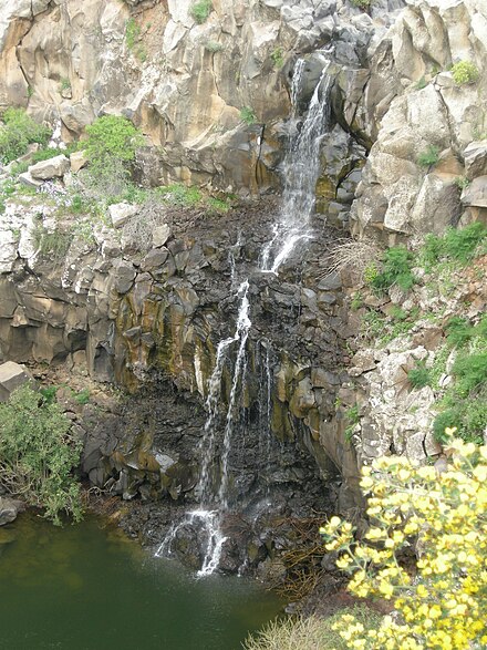 Natural spring in Golan Heights