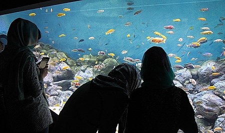 Isfahan aquarium 12.jpg