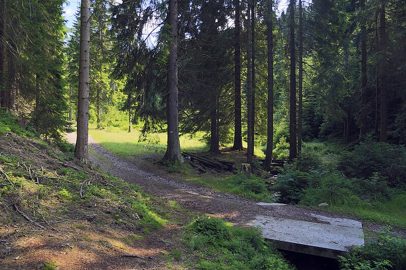 File:J29 909 »Wolfsschlucht«.jpg