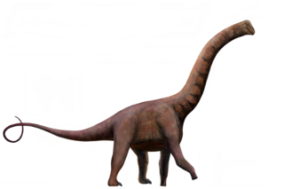 <i>Jainosaurus</i> Extinct genus of dinosaurs