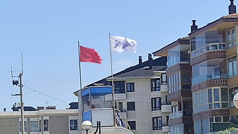 File:Jellyfish flag in Zarautz.jpg