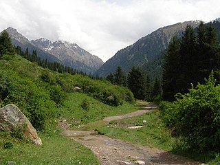 <span class="mw-page-title-main">Tian Shan montane conifer forests</span> Ecoregion in the Tian Shan Mountains