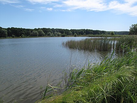 Karlsdorf Altfriedland 08