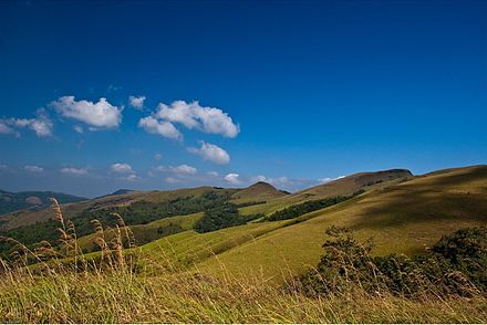 Kemmangundi Landscape