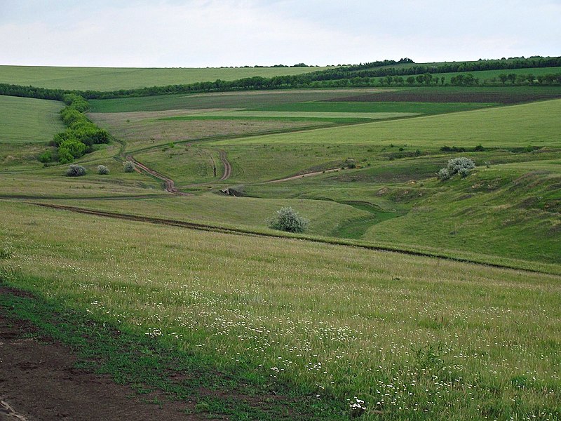 File:L310, Moldova - panoramio (25).jpg