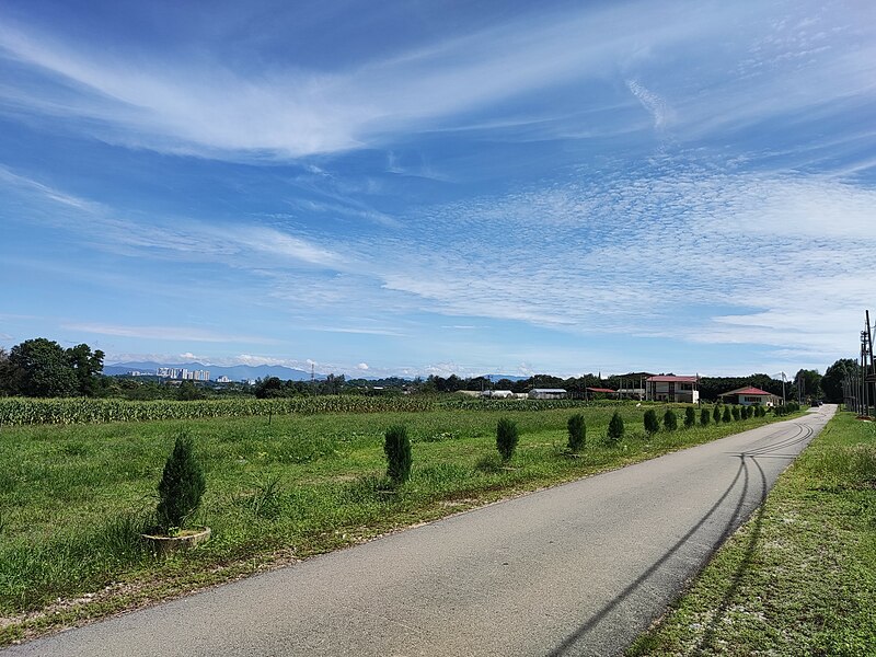 File:Ladang 15, FP, UPM.jpg