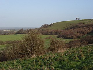 Ladle Hill Mountain in United Kingdom