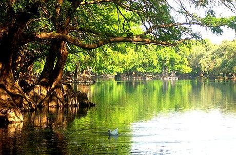 Parque nacional Lago de Camécuaro