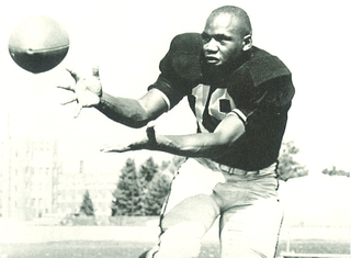 <span class="mw-page-title-main">Larry Ferguson</span> American football player (1940–2015)