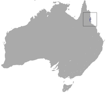 Лемур тәрізді Ringtail Possum area.png