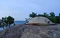 * Nomination: Old coastal artillery gun on the island Lidö in Stockholm archipelago. --ArildV 09:53, 23 June 2024 (UTC) * * Review needed