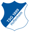 Logo TSG Hoffenheim.png