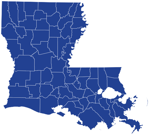 Louisiana Democratic presidential primary election results by parish, 2020.svg