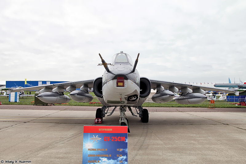 File:MAKS Airshow 2013 (Ramenskoye Airport, Russia) (517-04).jpg