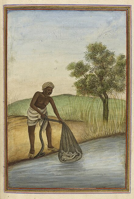 Macchi, a traditional Muslim caste of fishermen - Tashrih al-aqvam (1825)