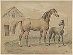 Thumbnail for File:Mare and Foal MET DP841227.jpg