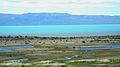 Meltwater from Glacier. Calafate - Flickr - gailhampshire.jpg