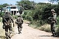 Members of the 82nd Airborne Division walk up a dirt road during Operation URGENT FURY. The soldier on the left is equipped with a field radio and the soldier on the right is armed - DPLA - 78fecd0887a25cabed77e0dbb8f38894.jpeg