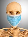 Memento Mori with Surgical Mask 20200425 5001 BG Grey Portrait.jpg