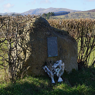 <span class="mw-page-title-main">Frongoch internment camp</span> Internment camp in Wales